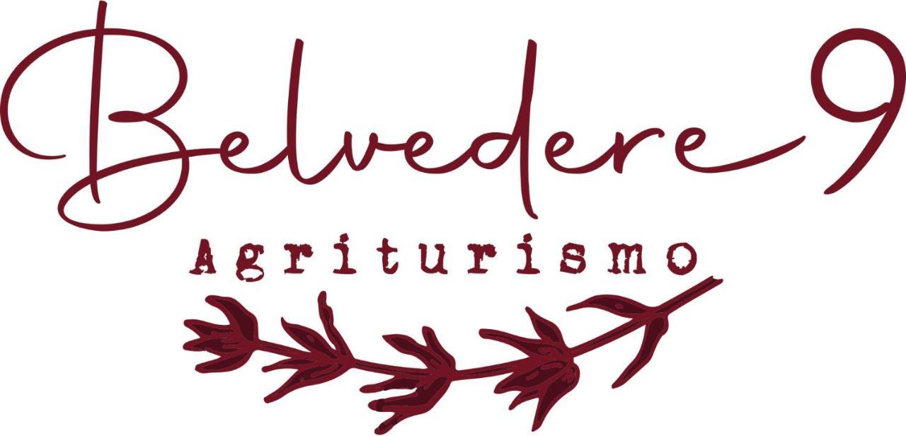 Belvedere 9