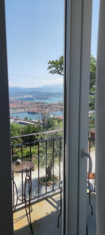 Belvedere 9
